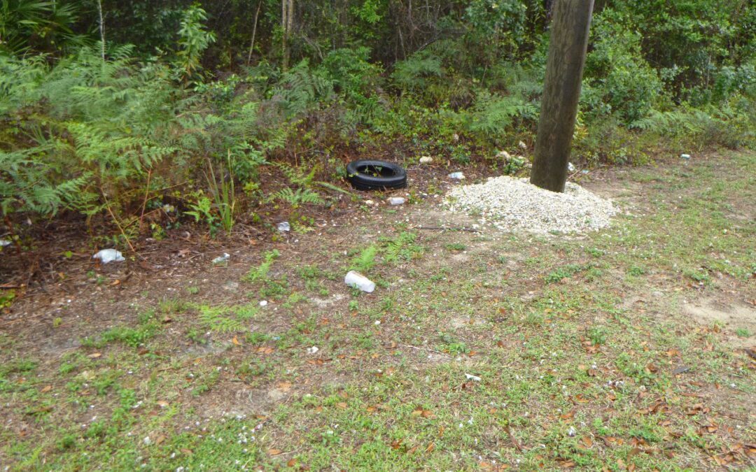 Keep Collier Beautiful is Seeking Volunteers for the 2026 Collier County Community Litter Index Report