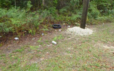 Keep Collier Beautiful is Seeking Volunteers for the 2026 Collier County Community Litter Index Report