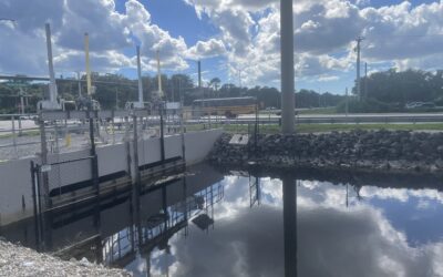 Love Your Waterways: Protecting Collier’s Canals & Estuaries