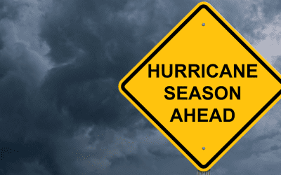 Storm Season Is Litter Season: What You Can Do Now