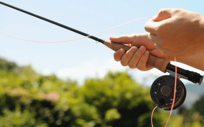 Reel It In: Why Fishing Line Belongs in the Bin, Not the Water